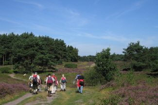 wanderung-rund-um-die-thülsfelder-talsperre-1